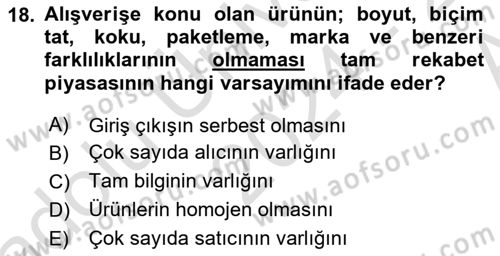 İktisada Giriş Dersi 2024 - 2025 Yılı (Vize) Ara Sınav Soruları 18. Soru