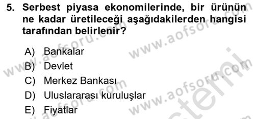 İktisada Giriş Dersi 2024 - 2025 Yılı (Vize) Ara Sınavı 5. Soru