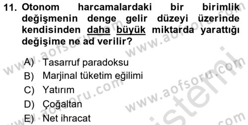 İktisada Giriş Dersi 2024 - 2025 Yılı (Final) Dönem Sonu Sınav Soruları 11. Soru