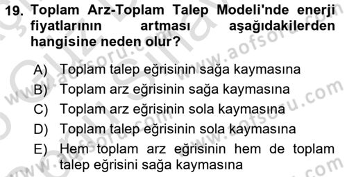 İktisada Giriş Dersi 2024 - 2025 Yılı (Final) Dönem Sonu Sınav Soruları 19. Soru