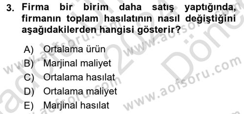 İktisada Giriş Dersi 2024 - 2025 Yılı (Final) Dönem Sonu Sınav Soruları 3. Soru