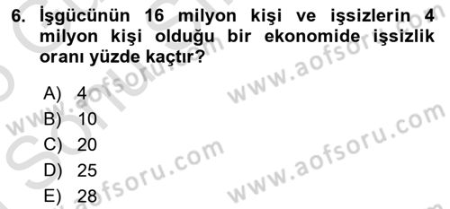 İktisada Giriş Dersi 2024 - 2025 Yılı (Final) Dönem Sonu Sınav Soruları 6. Soru