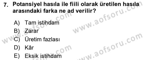 İktisada Giriş Dersi 2024 - 2025 Yılı (Final) Dönem Sonu Sınav Soruları 7. Soru