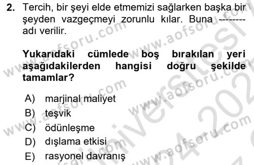 İktisada Giriş Dersi 2024 - 2025 Yılı Yaz Okulu Sınav Soruları 2. Soru