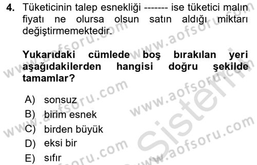İktisada Giriş Dersi 2024 - 2025 Yılı Yaz Okulu Sınav Soruları 4. Soru