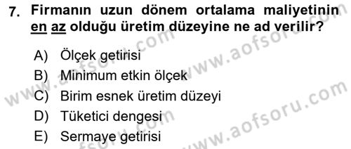 İktisada Giriş Dersi 2024 - 2025 Yılı Yaz Okulu Sınav Soruları 7. Soru