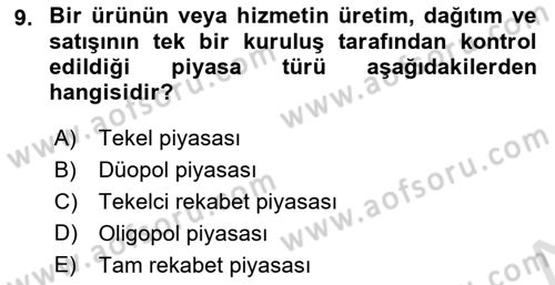 İktisada Giriş Dersi 2024 - 2025 Yılı Yaz Okulu Sınav Soruları 9. Soru