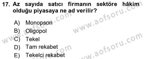 İktisada Giriş Dersi 2025 - 2026 Yılı (Vize) Ara Sınav Soruları 17. Soru