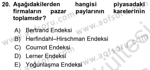 İktisada Giriş Dersi 2025 - 2026 Yılı (Vize) Ara Sınav Soruları 20. Soru