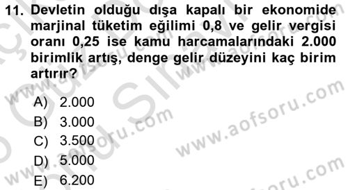 İktisada Giriş Dersi 2025 - 2026 Yılı (Final) Dönem Sonu Sınav Soruları 11. Soru