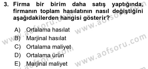 İktisada Giriş Dersi 2025 - 2026 Yılı (Final) Dönem Sonu Sınav Soruları 3. Soru