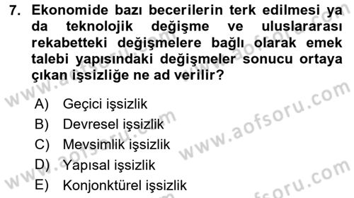 İktisada Giriş Dersi 2025 - 2026 Yılı (Final) Dönem Sonu Sınav Soruları 7. Soru