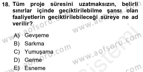 Proje Yönetimi Dersi 2018 - 2019 Yılı (Vize) Ara Sınavı 18. Soru