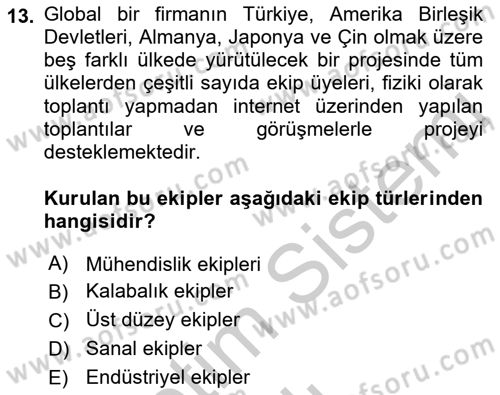 Proje Yönetimi Dersi 2018 - 2019 Yılı Yaz Okulu Sınav Soruları 13. Soru