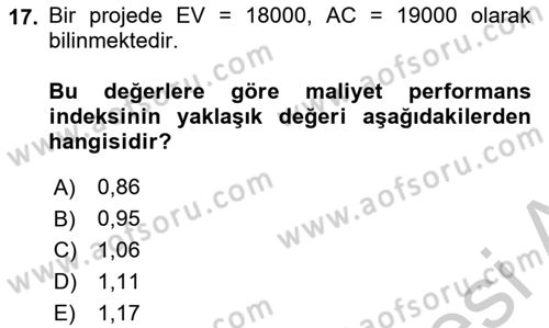Proje Yönetimi Dersi 2018 - 2019 Yılı Yaz Okulu Sınav Soruları 17. Soru