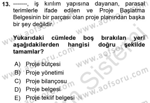 Proje Yönetimi Dersi 2021 - 2022 Yılı Yaz Okulu Sınav Soruları 13. Soru