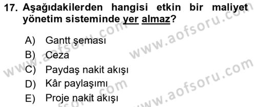 Proje Yönetimi Dersi 2023 - 2024 Yılı Yaz Okulu Sınav Soruları 17. Soru