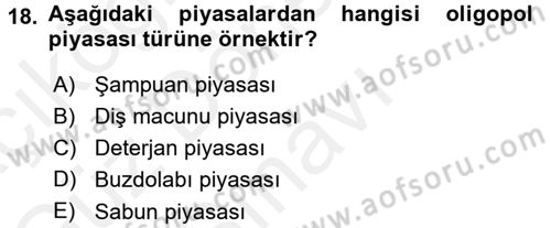 İktisada Giriş 1 Dersi 2016 - 2017 Yılı (Final) Dönem Sonu Sınavı 18. Soru