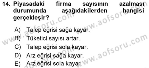 İktisada Giriş 1 Dersi 2017 - 2018 Yılı (Vize) Ara Sınav Soruları 14. Soru