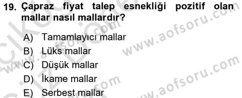 İktisada Giriş 1 Dersi 2017 - 2018 Yılı (Vize) Ara Sınav Soruları 19. Soru