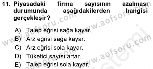 İktisada Giriş 1 Dersi 2018 - 2019 Yılı (Vize) Ara Sınav Soruları 11. Soru