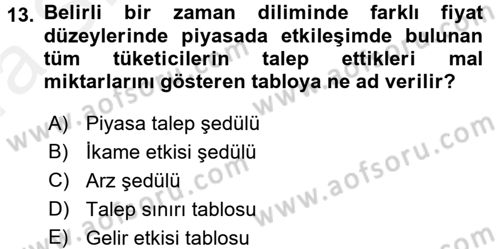 İktisada Giriş 1 Dersi 2018 - 2019 Yılı (Vize) Ara Sınav Soruları 13. Soru