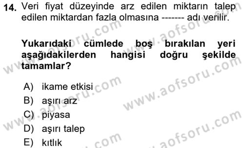 İktisada Giriş 1 Dersi 2018 - 2019 Yılı (Vize) Ara Sınav Soruları 14. Soru