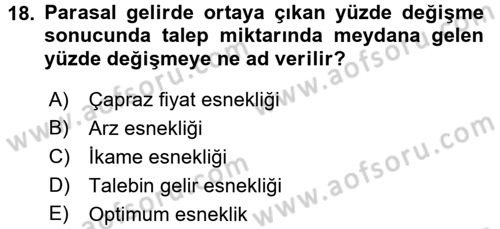 İktisada Giriş 1 Dersi 2018 - 2019 Yılı (Vize) Ara Sınav Soruları 18. Soru