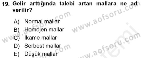 İktisada Giriş 1 Dersi 2018 - 2019 Yılı (Vize) Ara Sınav Soruları 19. Soru