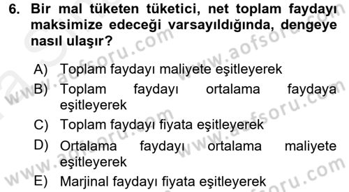 İktisada Giriş 1 Dersi 2018 - 2019 Yılı (Vize) Ara Sınav Soruları 6. Soru