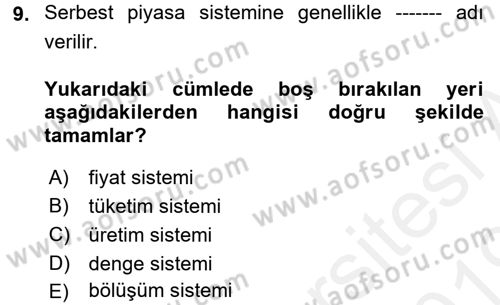 İktisada Giriş 1 Dersi 2018 - 2019 Yılı (Vize) Ara Sınav Soruları 9. Soru