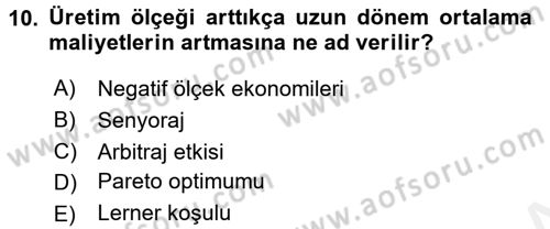 İktisada Giriş 1 Dersi 2018 - 2019 Yılı (Final) Dönem Sonu Sınav Soruları 10. Soru