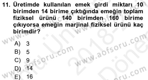 İktisada Giriş 1 Dersi 2018 - 2019 Yılı (Final) Dönem Sonu Sınav Soruları 11. Soru
