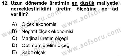 İktisada Giriş 1 Dersi 2018 - 2019 Yılı (Final) Dönem Sonu Sınav Soruları 12. Soru