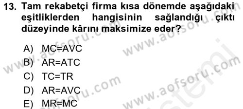 İktisada Giriş 1 Dersi 2018 - 2019 Yılı (Final) Dönem Sonu Sınavı 13. Soru