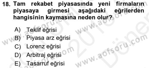 İktisada Giriş 1 Dersi 2018 - 2019 Yılı (Final) Dönem Sonu Sınav Soruları 18. Soru