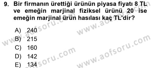İktisada Giriş 1 Dersi 2018 - 2019 Yılı (Final) Dönem Sonu Sınav Soruları 9. Soru