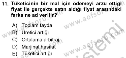 İktisada Giriş 1 Dersi 2018 - 2019 Yılı Yaz Okulu Sınav Soruları 11. Soru