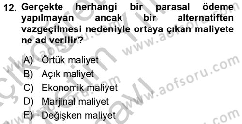 İktisada Giriş 1 Dersi 2018 - 2019 Yılı Yaz Okulu Sınav Soruları 12. Soru