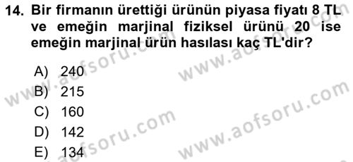 İktisada Giriş 1 Dersi 2018 - 2019 Yılı Yaz Okulu Sınav Soruları 14. Soru