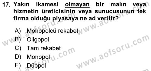 İktisada Giriş 1 Dersi 2018 - 2019 Yılı Yaz Okulu Sınav Soruları 17. Soru