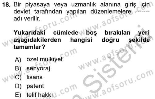 İktisada Giriş 1 Dersi 2018 - 2019 Yılı Yaz Okulu Sınav Soruları 18. Soru