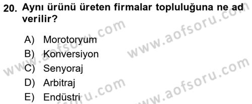 İktisada Giriş 1 Dersi 2018 - 2019 Yılı Yaz Okulu Sınavı 20. Soru