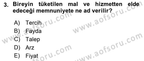 İktisada Giriş 1 Dersi 2018 - 2019 Yılı Yaz Okulu Sınav Soruları 3. Soru