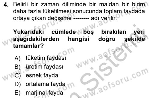 İktisada Giriş 1 Dersi 2018 - 2019 Yılı Yaz Okulu Sınav Soruları 4. Soru