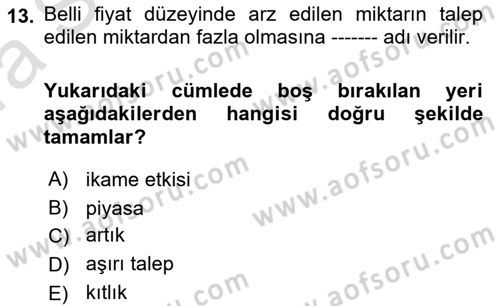 İktisada Giriş 1 Dersi 2021 - 2022 Yılı (Vize) Ara Sınav Soruları 13. Soru