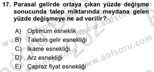 İktisada Giriş 1 Dersi 2021 - 2022 Yılı (Vize) Ara Sınav Soruları 17. Soru