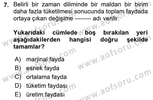 İktisada Giriş 1 Dersi 2021 - 2022 Yılı (Vize) Ara Sınav Soruları 7. Soru