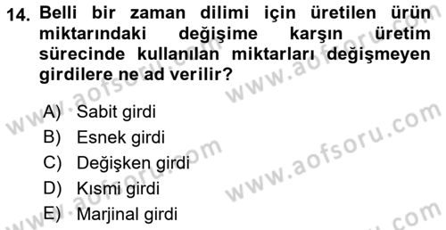 İktisada Giriş 1 Dersi 2022 - 2023 Yılı (Final) Dönem Sonu Sınav Soruları 14. Soru
