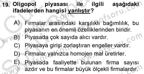 İktisada Giriş 1 Dersi 2022 - 2023 Yılı (Final) Dönem Sonu Sınav Soruları 19. Soru